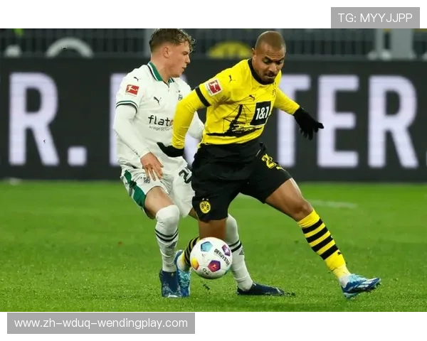 欧冠赛事中德甲球队的表现对比及体育竞技实力分析 欧冠赛事中德甲球队的表现对比及体育竞技实力分析