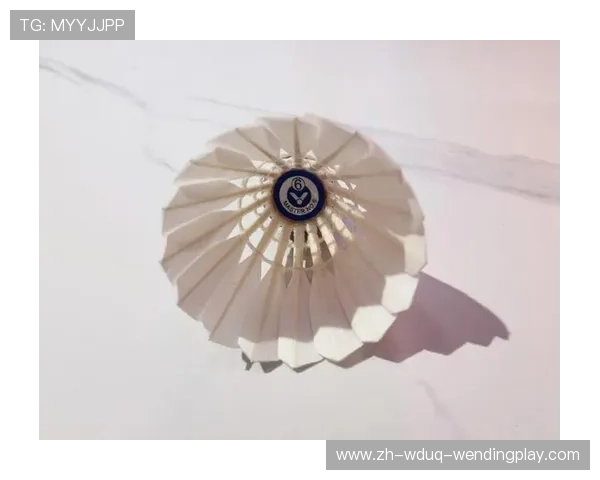 自制耐打羽毛球